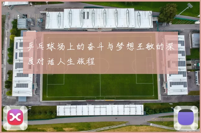 乒乓球场上的奋斗与梦想王敏的深度对话人生旅程