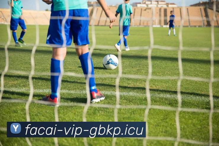 星空体育APP 封面图